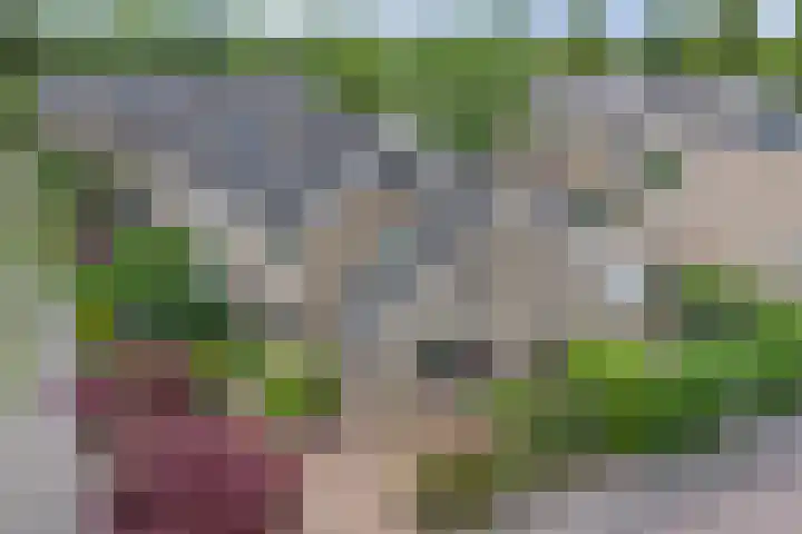 Egelantierlaan 19 Gouda thumbnail 45