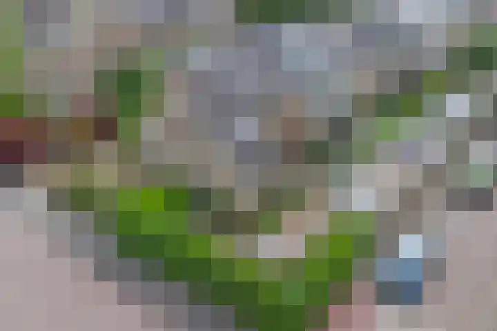 Egelantierlaan 19 Gouda thumbnail 46