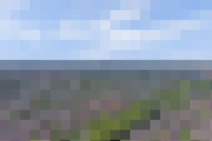 Egelantierlaan 19 Gouda thumbnail 49