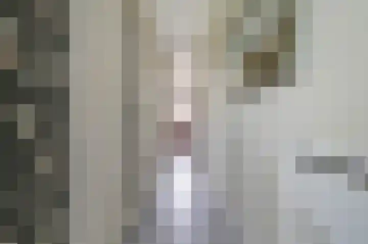 Egelantierlaan 19 Gouda thumbnail 5