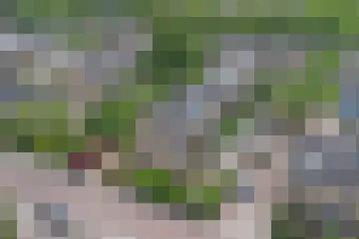 Egelantierlaan 19 Gouda thumbnail 50