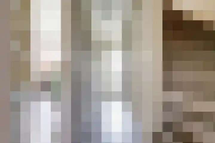 Egelantierlaan 19 Gouda thumbnail 6