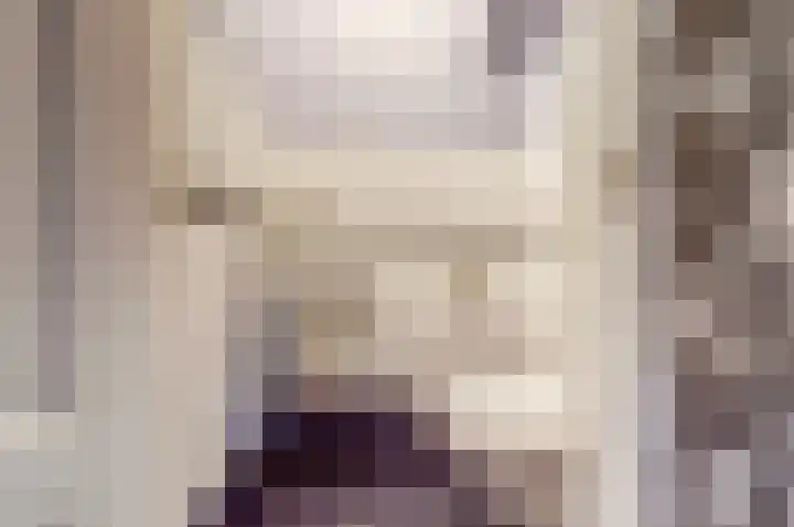 Egelantierlaan 19 Gouda thumbnail 7
