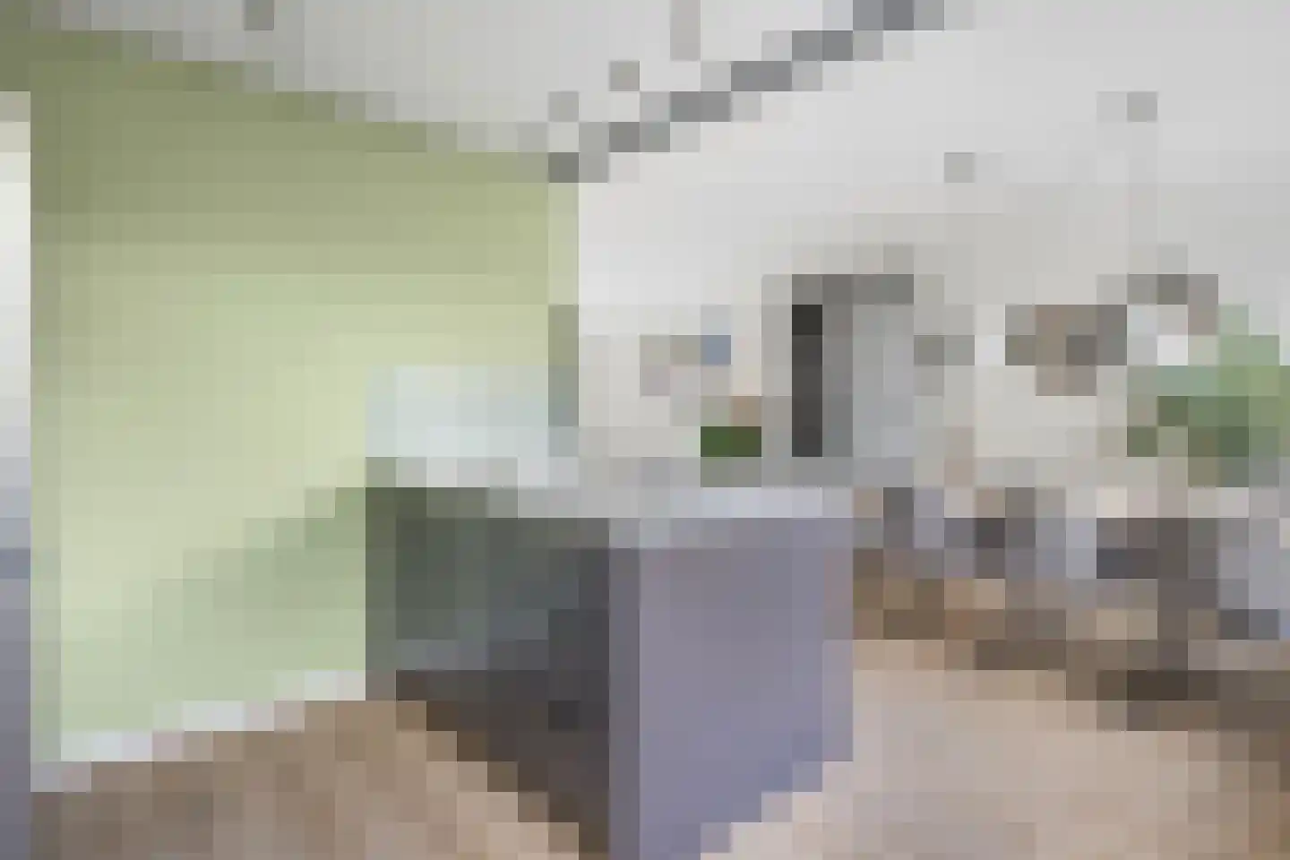 Egelantierlaan 20 Gouda thumbnail 16