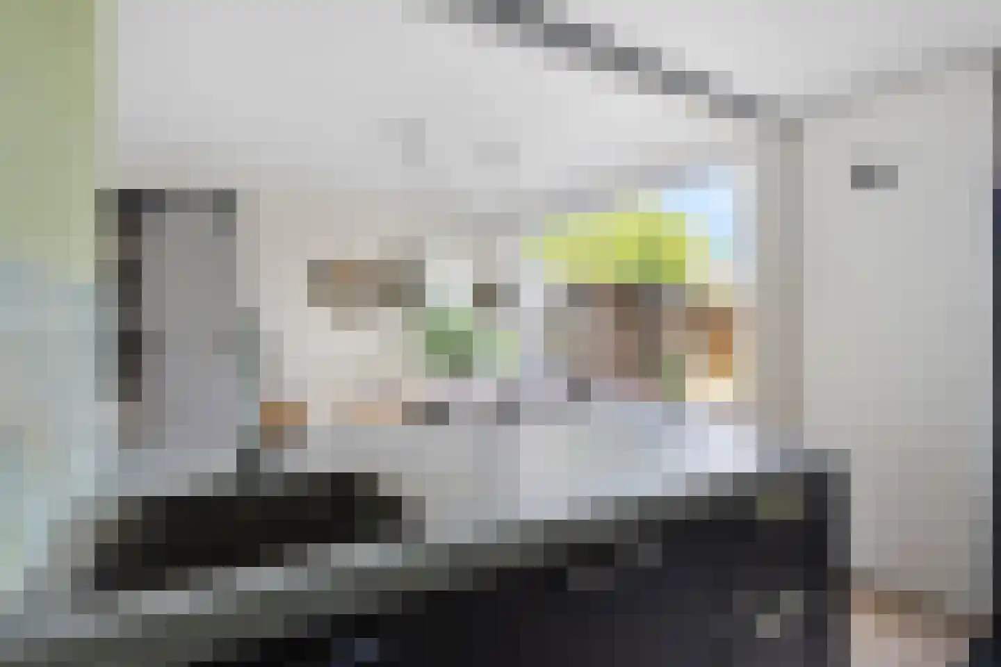 Egelantierlaan 20 Gouda thumbnail 17