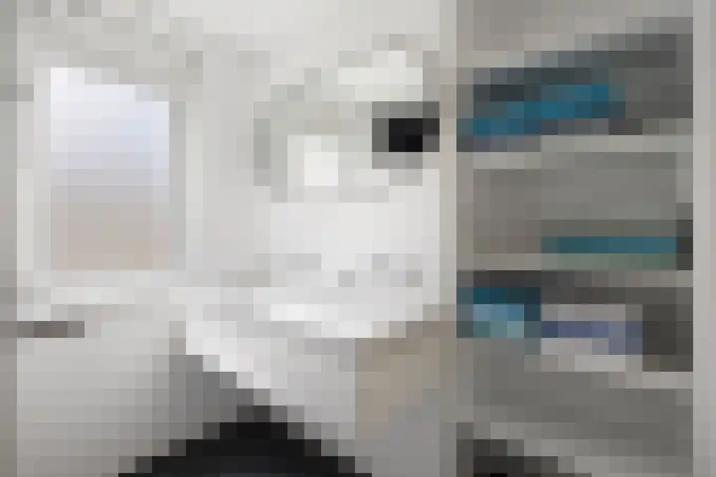 Egelantierlaan 20 Gouda thumbnail 24