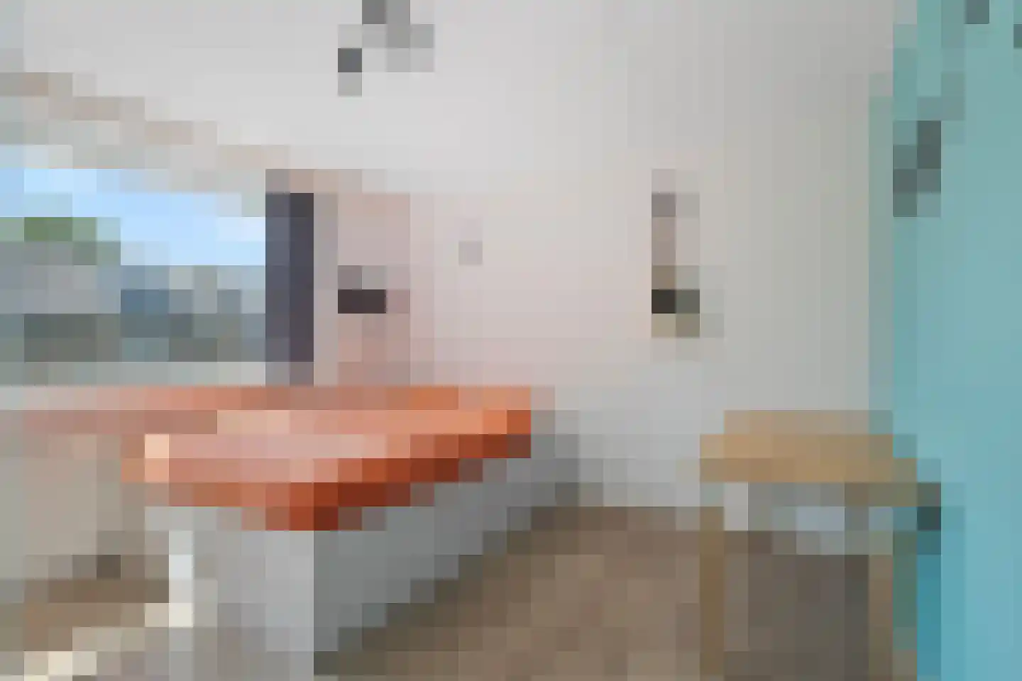 Egelantierlaan 20 Gouda thumbnail 26