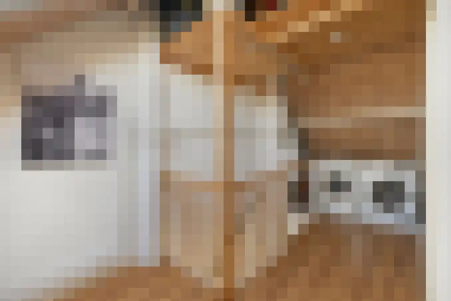 Egelantierlaan 20 Gouda thumbnail 32