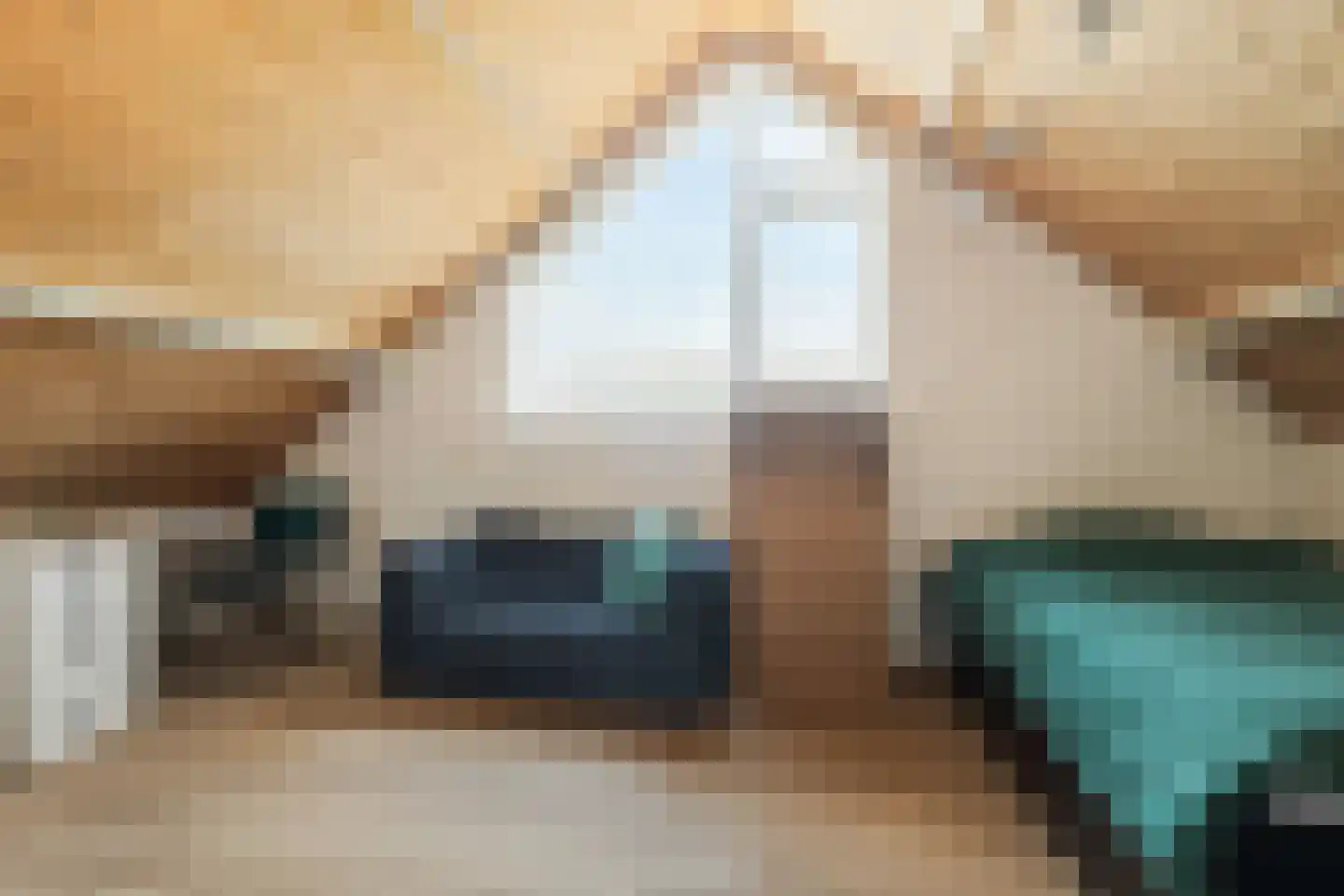 Egelantierlaan 20 Gouda thumbnail 33