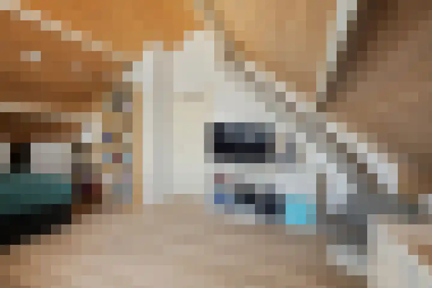 Egelantierlaan 20 Gouda thumbnail 34