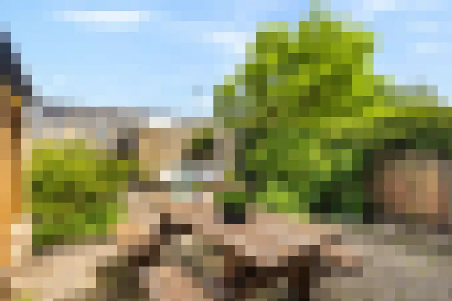 Egelantierlaan 20 Gouda thumbnail 38