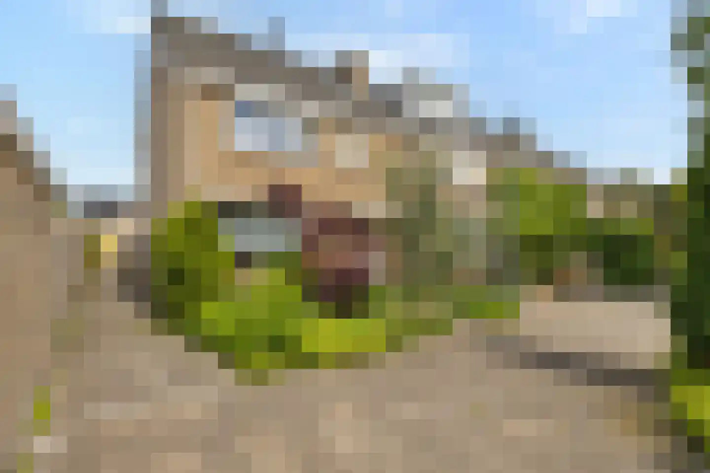 Egelantierlaan 20 Gouda thumbnail 5