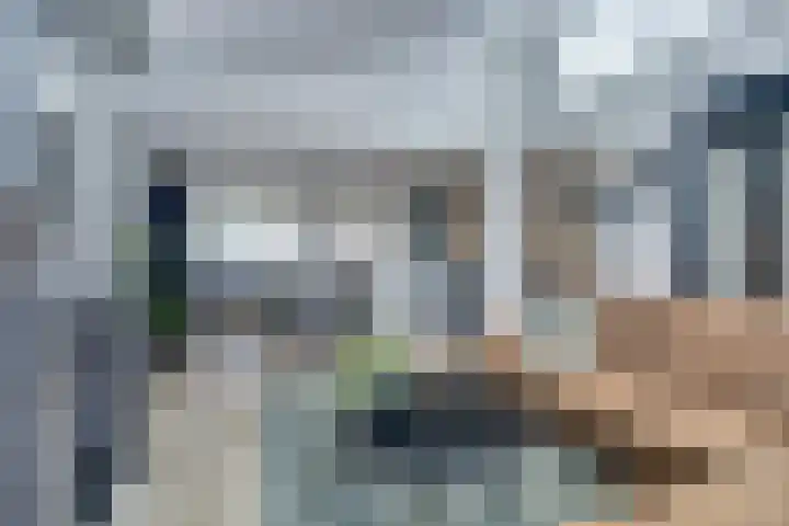 Egelantierlaan 28 Drunen foto 2