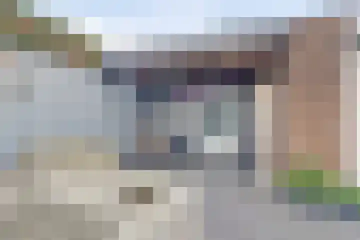 Egelantierlaan 28 Drunen thumbnail 29