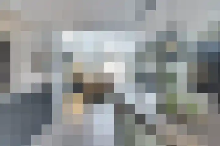 Egelantierlaan 28 Drunen thumbnail 5