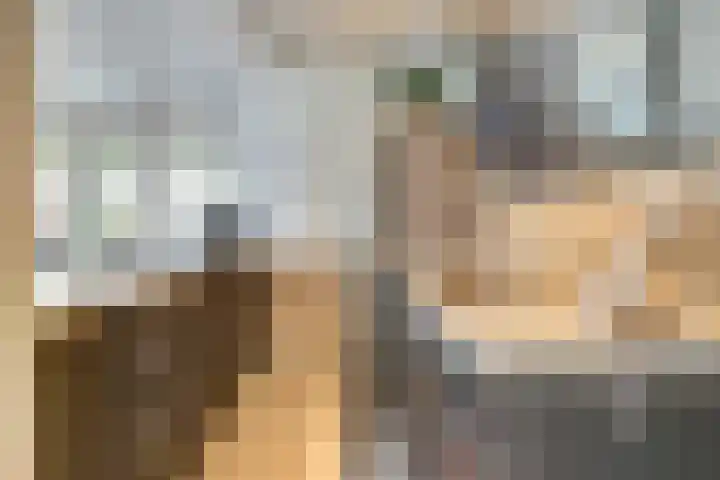 Egelantierlaan 28 Drunen thumbnail 8