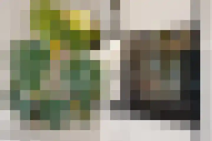 Egelantierlaan 33 Drunen thumbnail 17