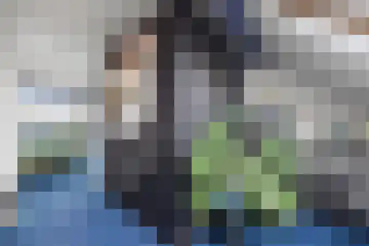 Egelantierlaan 33 Drunen thumbnail 41