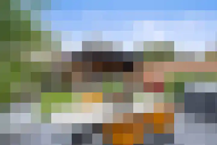 Egelantierlaan 33 Drunen thumbnail 42