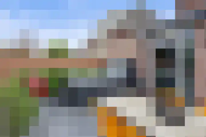 Egelantierlaan 33 Drunen thumbnail 43