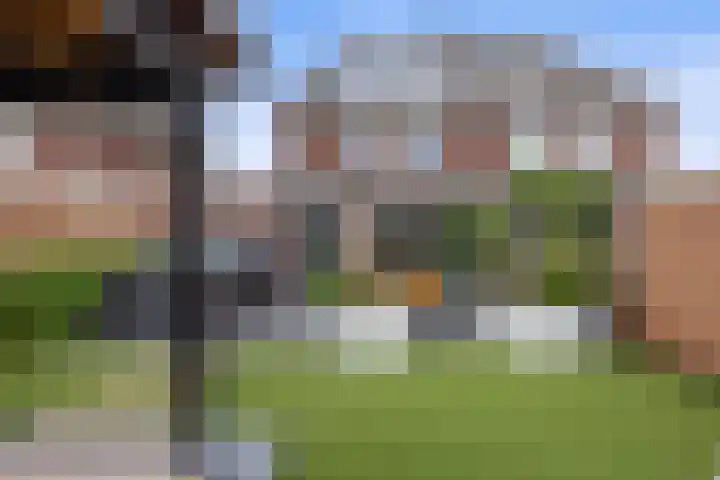 Egelantierlaan 33 Drunen thumbnail 50