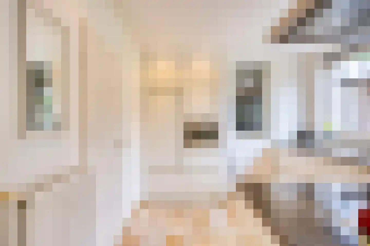 Egelantierlaan 33 Nuenen thumbnail 26