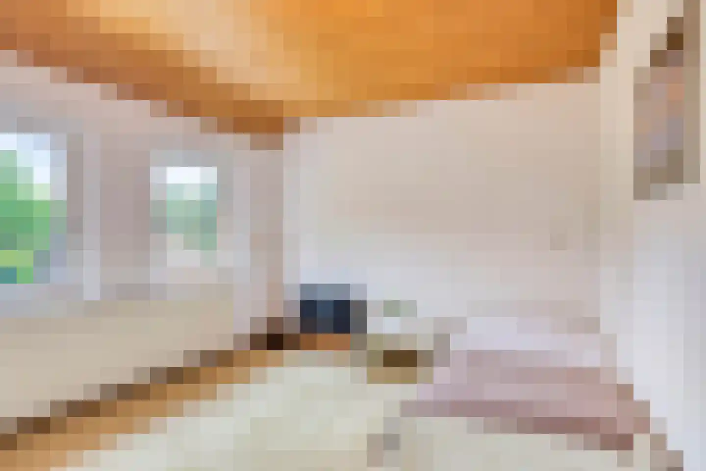 Egelantierlaan 33 Nuenen thumbnail 42