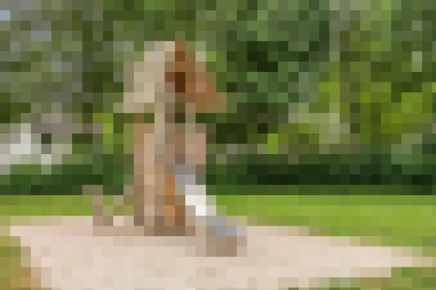 Egelantierlaan 33 Nuenen thumbnail 57
