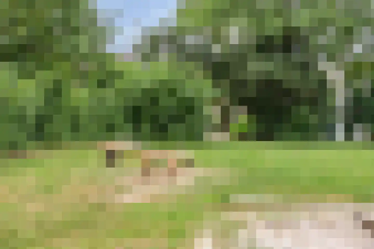 Egelantierlaan 33 Nuenen thumbnail 58