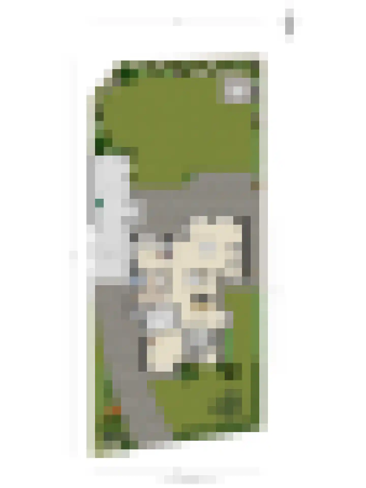 Egelantierlaan 33 Nuenen thumbnail 68