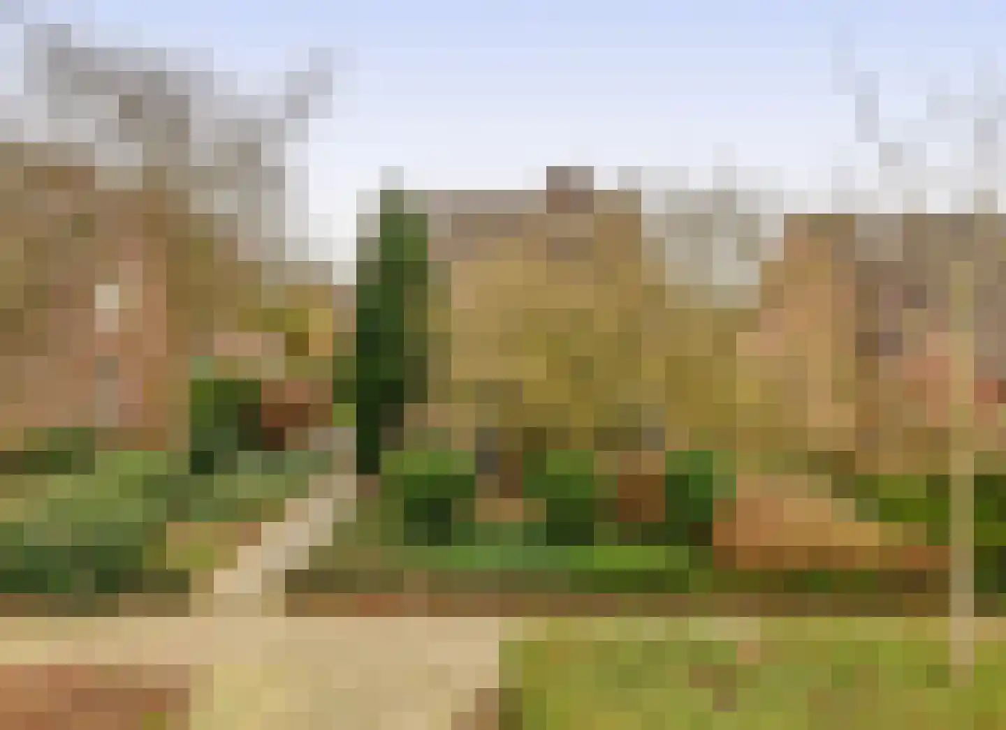 Egelantierlaan 35 Nuenen