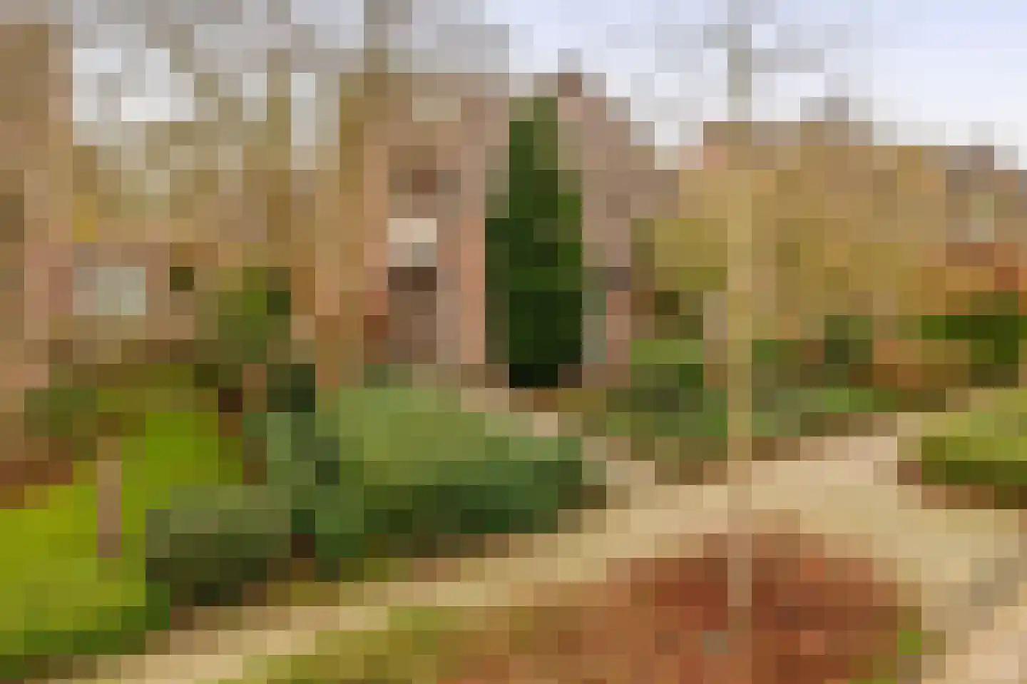 Egelantierlaan 35 Nuenen thumbnail 10
