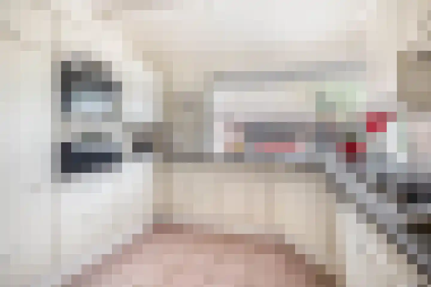 Egelantierlaan 35 Nuenen thumbnail 27