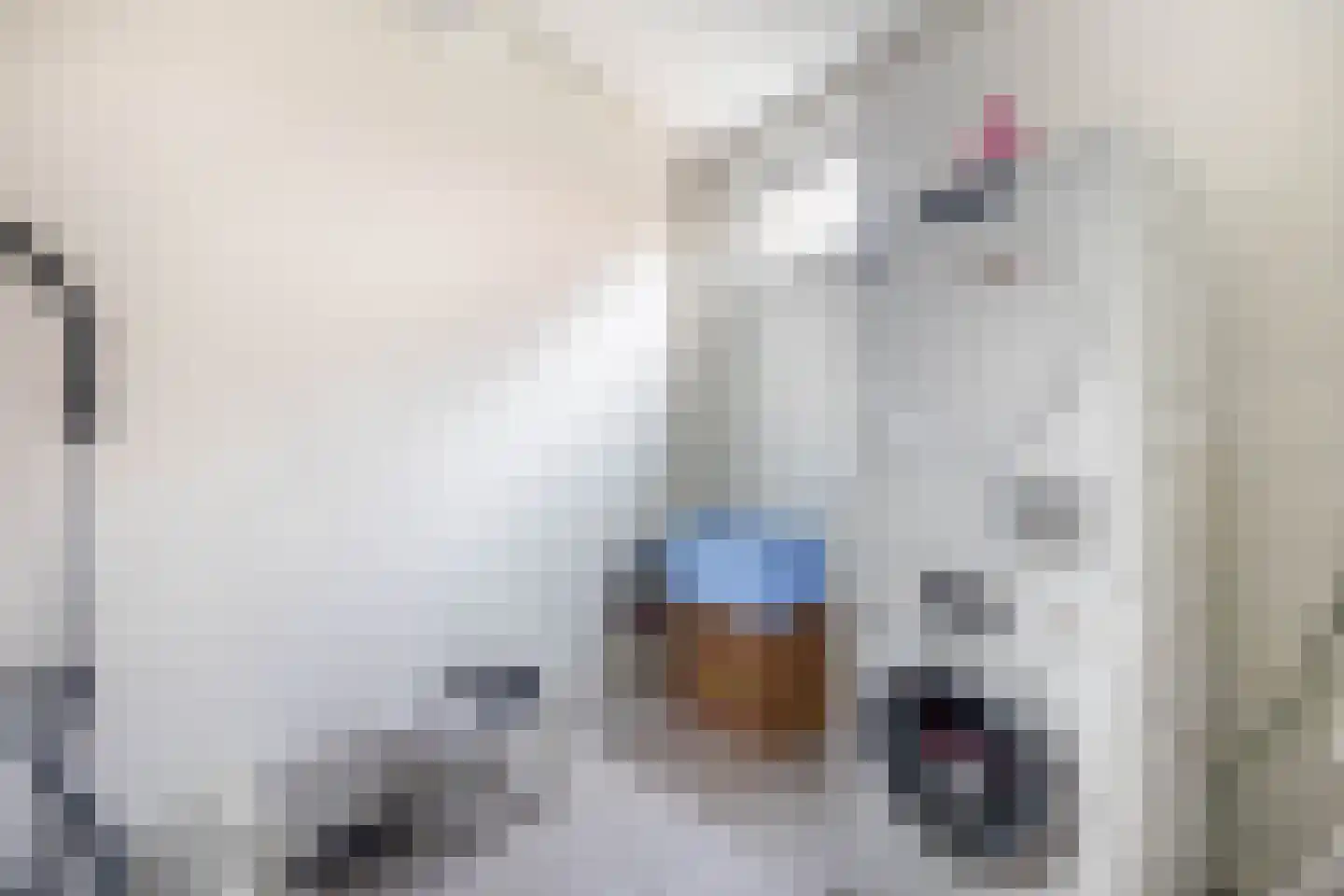 Egelantierlaan 35 Nuenen thumbnail 33