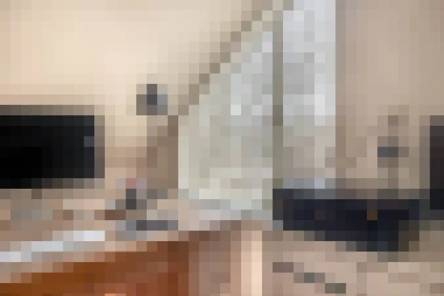 Egelantierlaan 35 Nuenen thumbnail 43