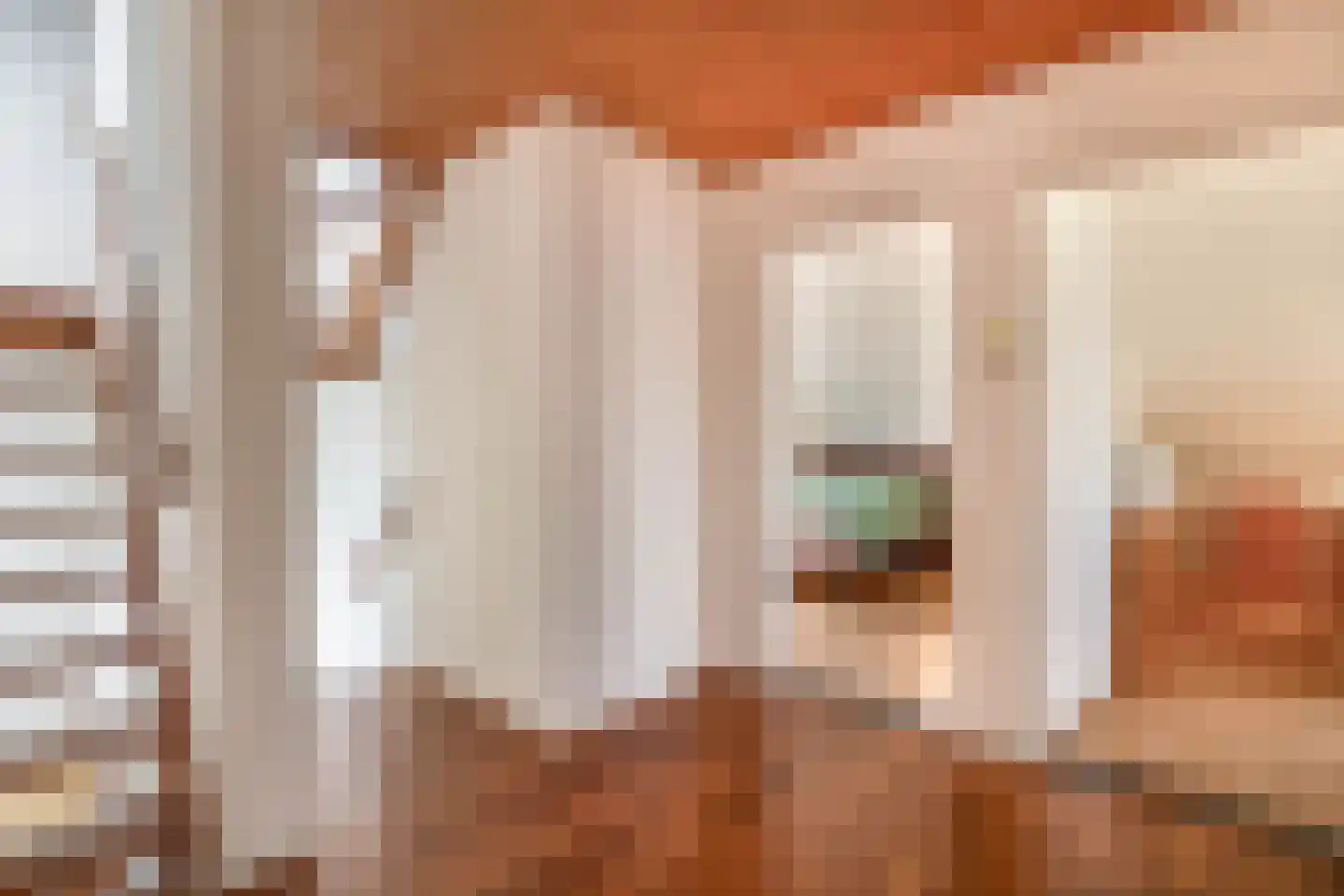 Egelantierlaan 35 Nuenen thumbnail 49