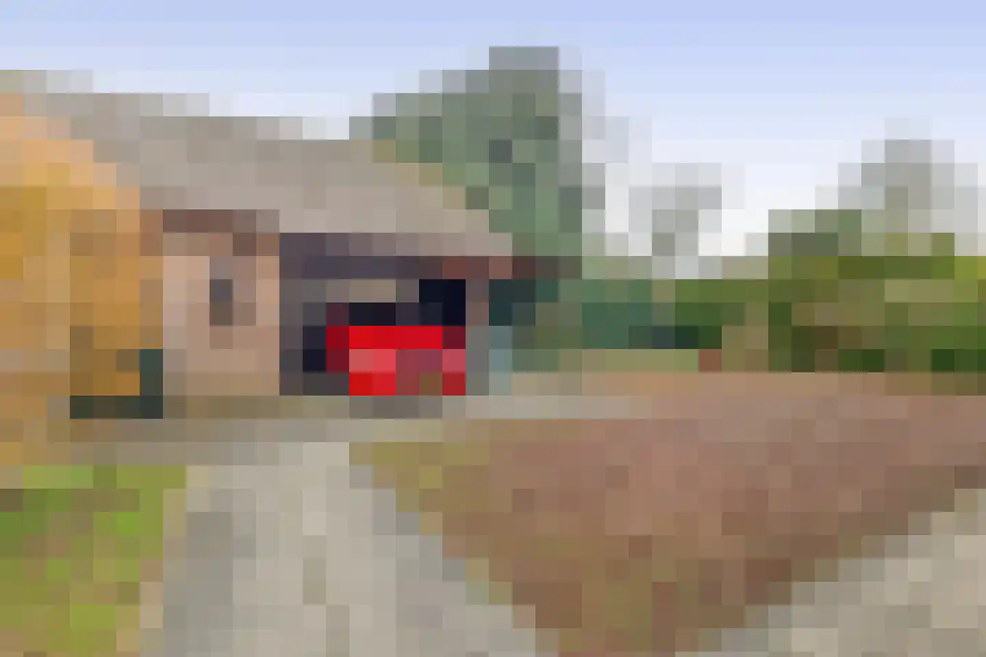 Egelantierlaan 35 Nuenen thumbnail 55