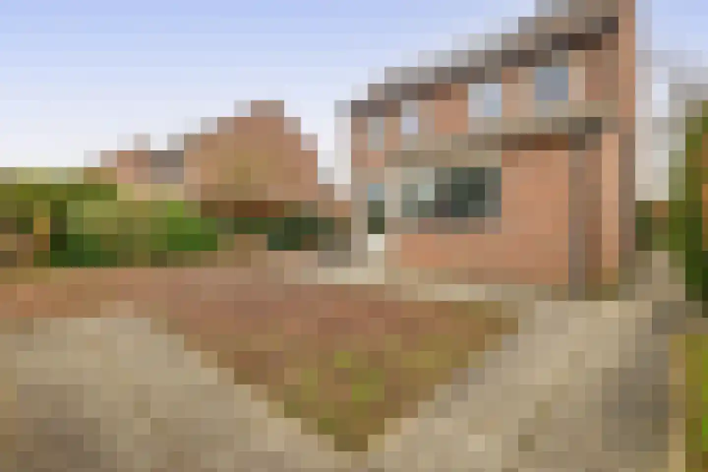 Egelantierlaan 35 Nuenen thumbnail 56