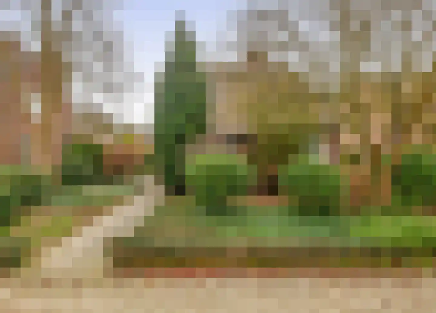 Egelantierlaan 35 Nuenen thumbnail 6