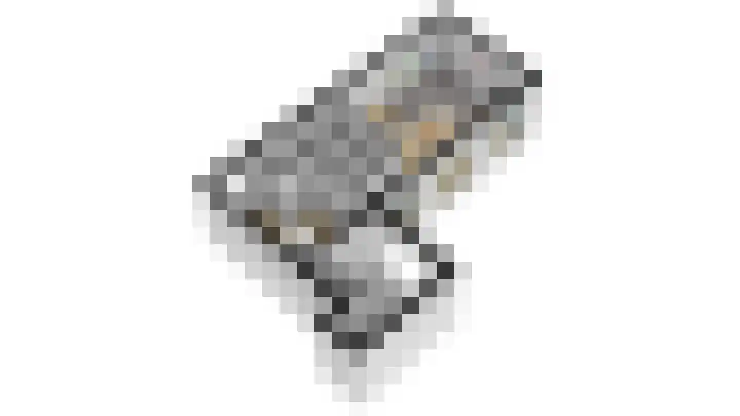 Egelantierlaan 37 A Cadzand thumbnail 13