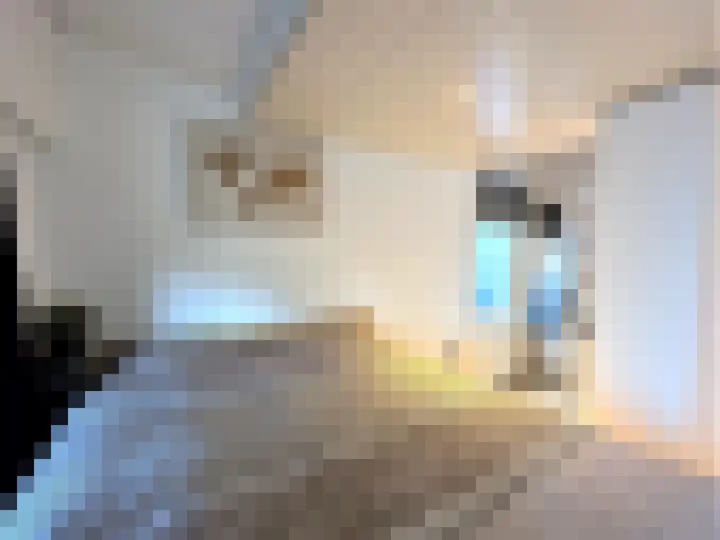 Egelantierlaan 37 A Cadzand thumbnail 4
