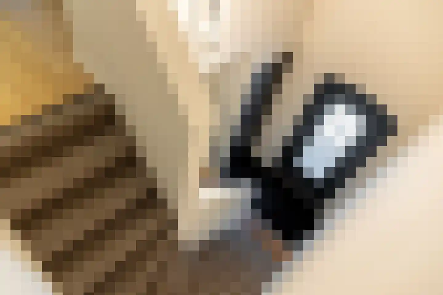 Egelantierlaan 4 Oostvoorne thumbnail 27