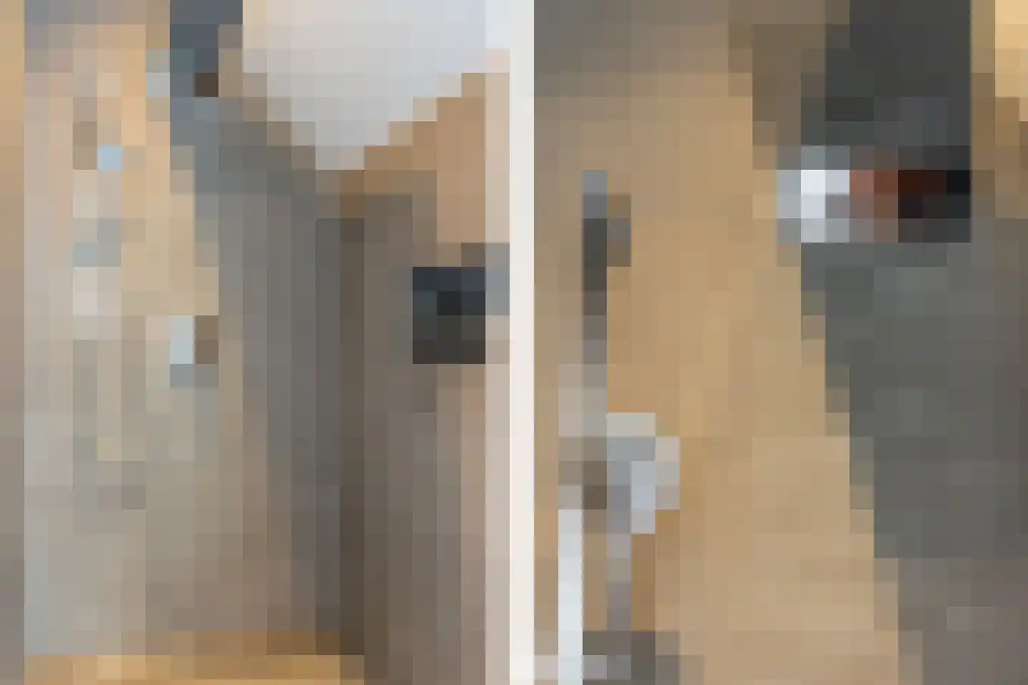 Egelantierlaan 4 Oostvoorne thumbnail 30
