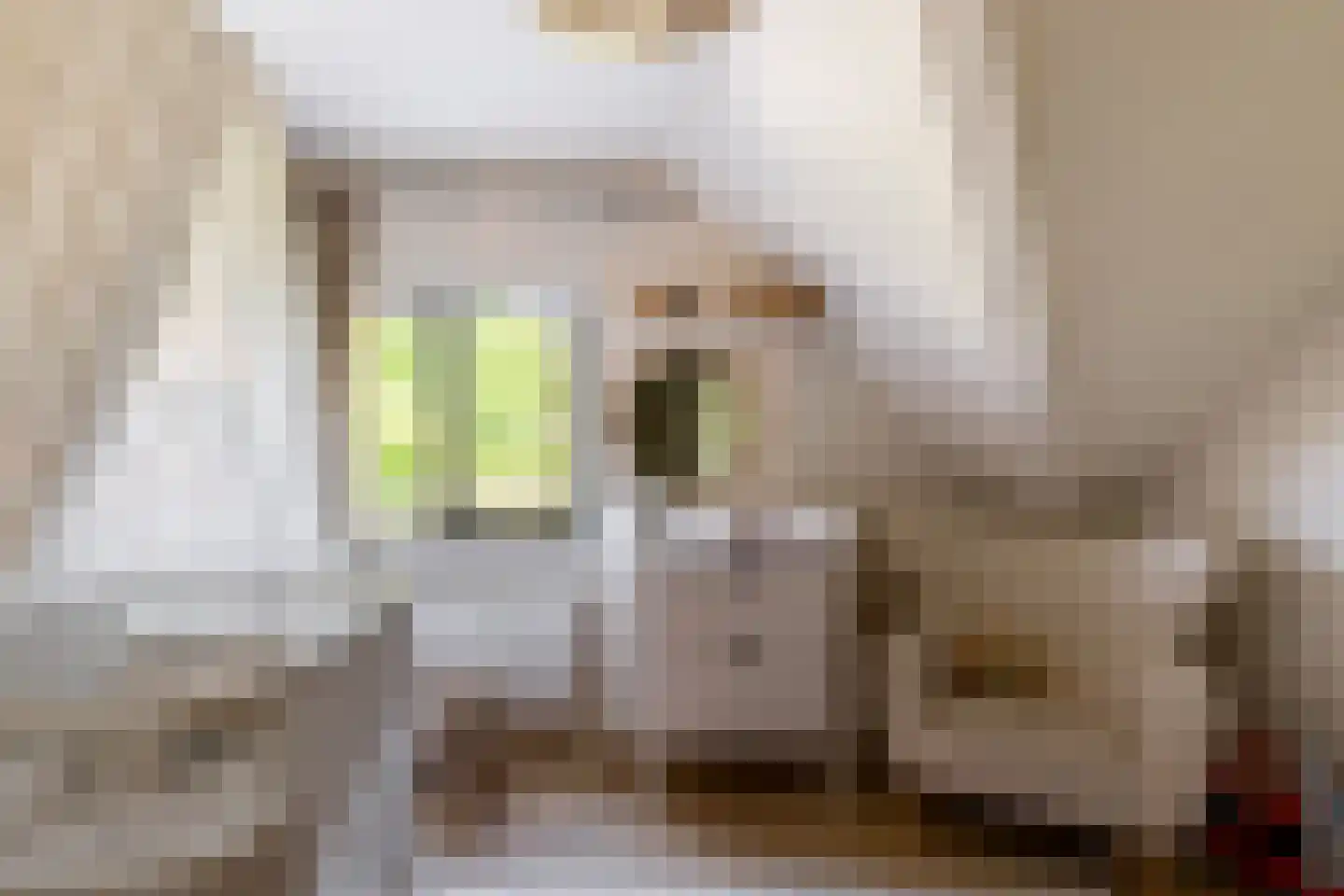 Egelantierlaan 4 Oostvoorne thumbnail 33