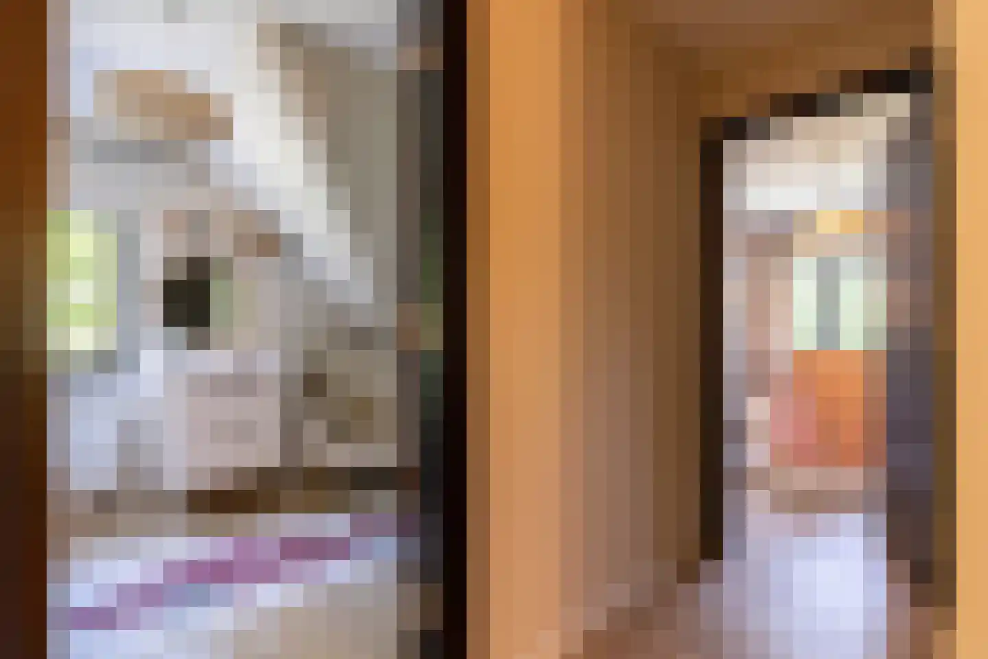 Egelantierlaan 4 Oostvoorne thumbnail 34