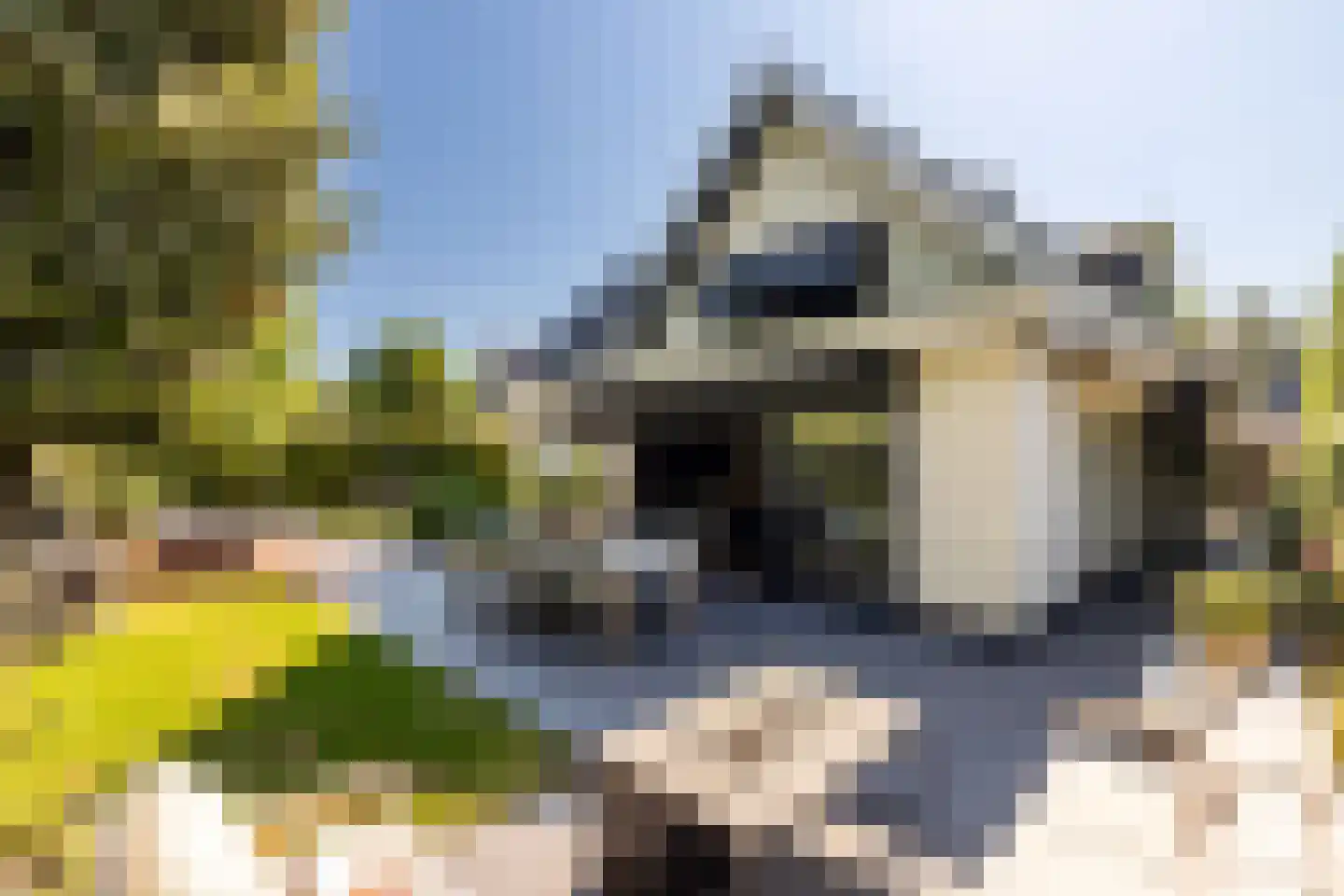 Egelantierlaan 4 Oostvoorne thumbnail 37