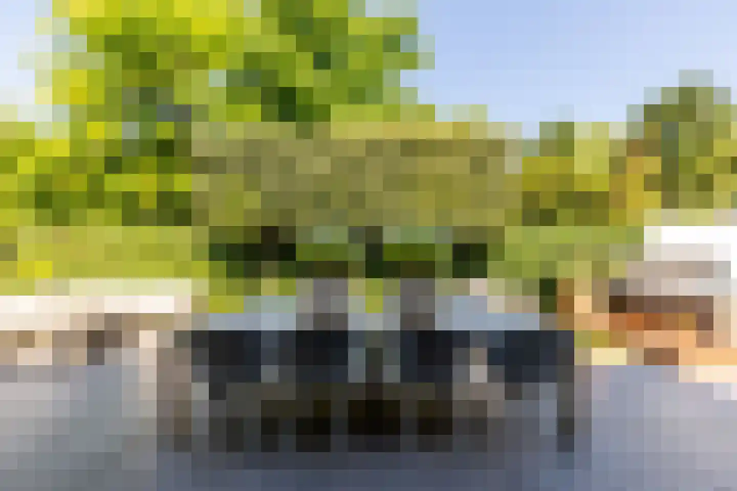 Egelantierlaan 4 Oostvoorne thumbnail 38