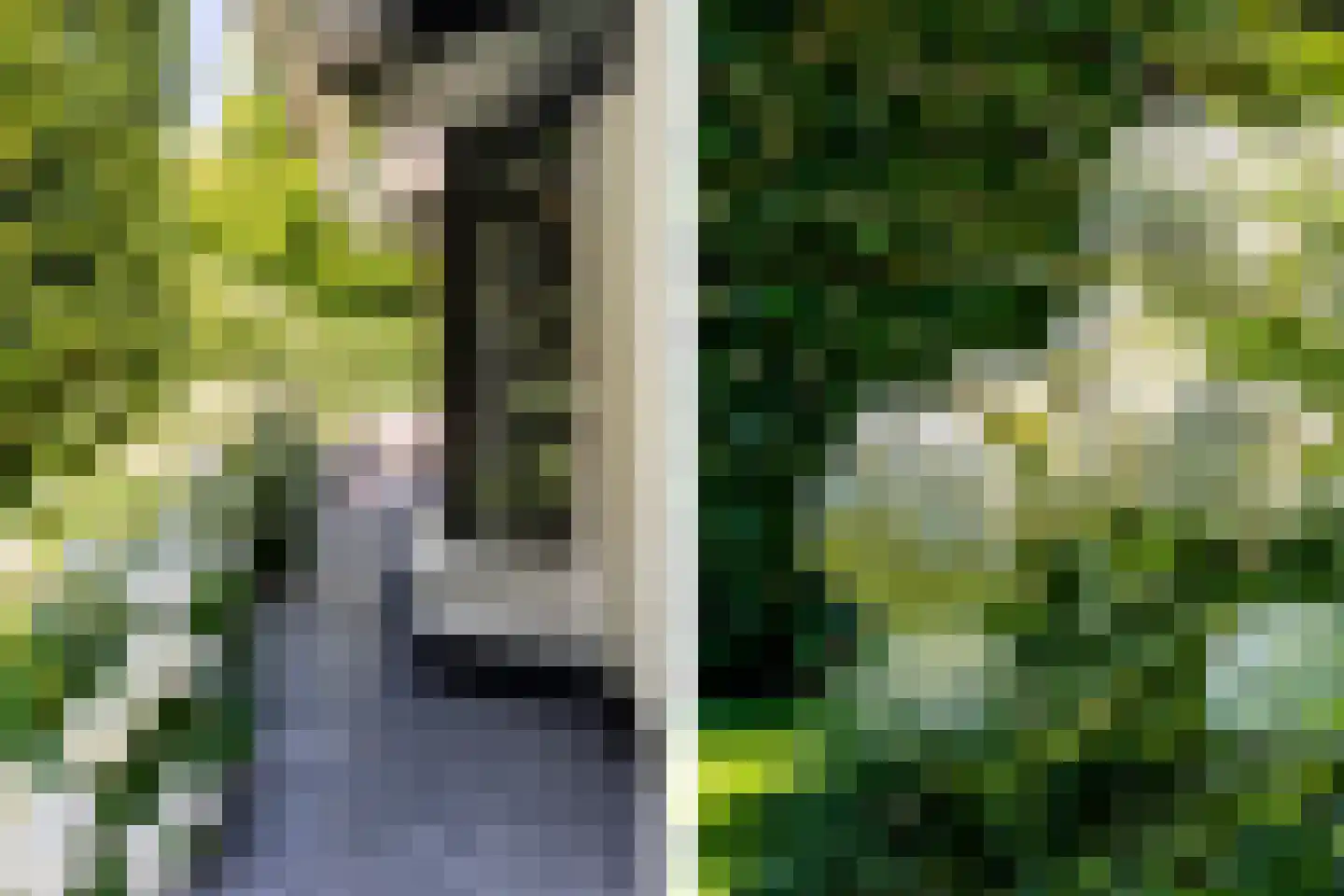 Egelantierlaan 4 Oostvoorne thumbnail 39