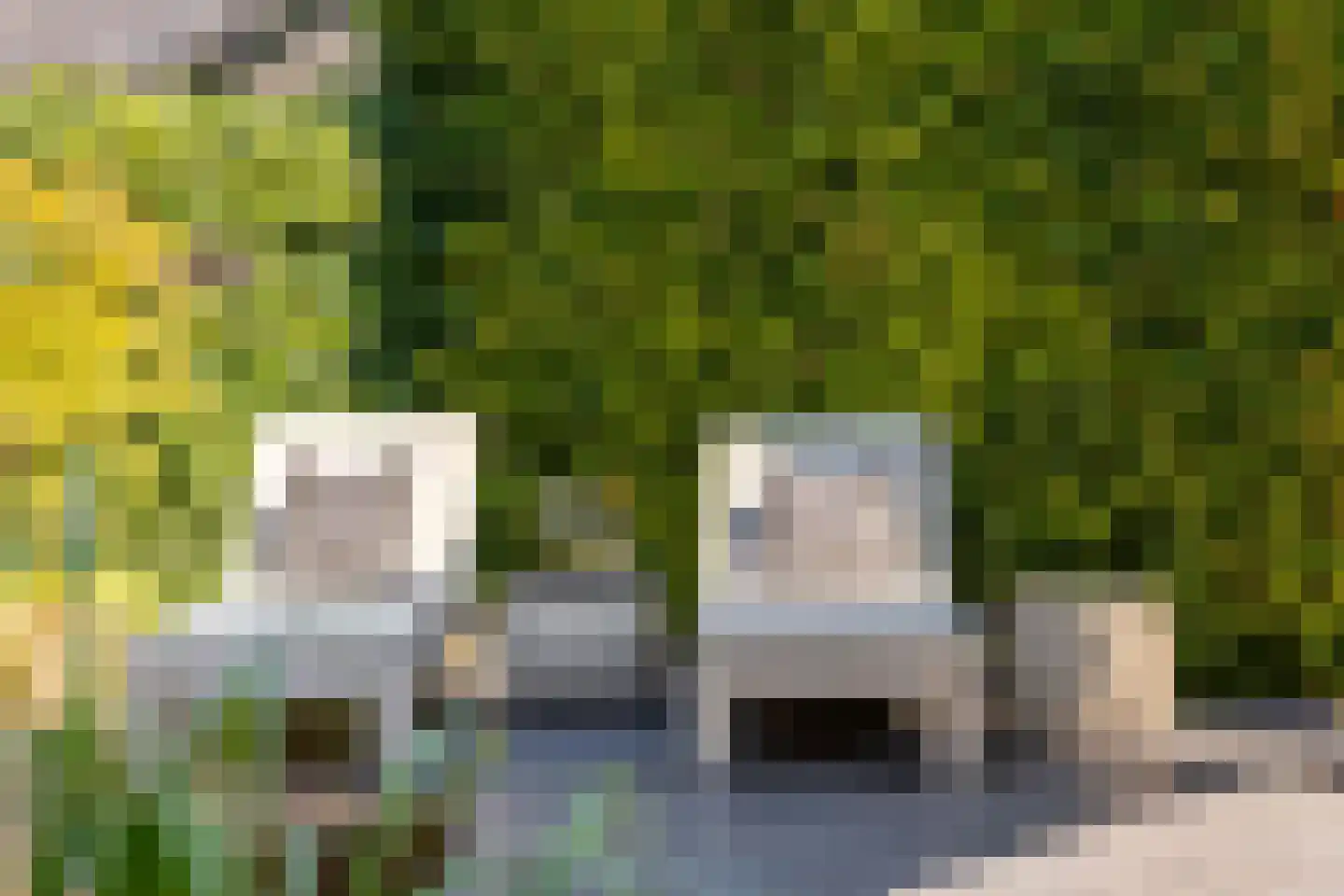 Egelantierlaan 4 Oostvoorne thumbnail 44