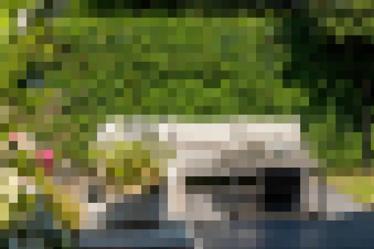 Egelantierlaan 4 Oostvoorne thumbnail 47